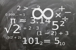 九游网页版入口-中小学体育课程标准实施现状与教师执行力研究，中小学体育新课标测试题