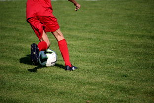 九游体育官网入口-意甲裁判语义分析系统在比赛判罚中的应用研究，意甲第三轮裁判