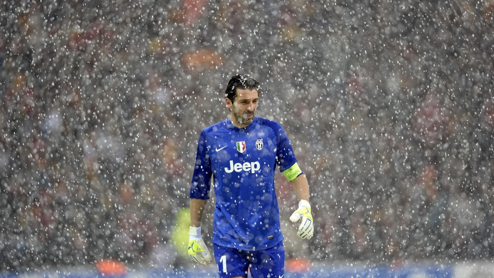 “美洲狮队在冠军赛中的坚韧表现令全世界震惊”