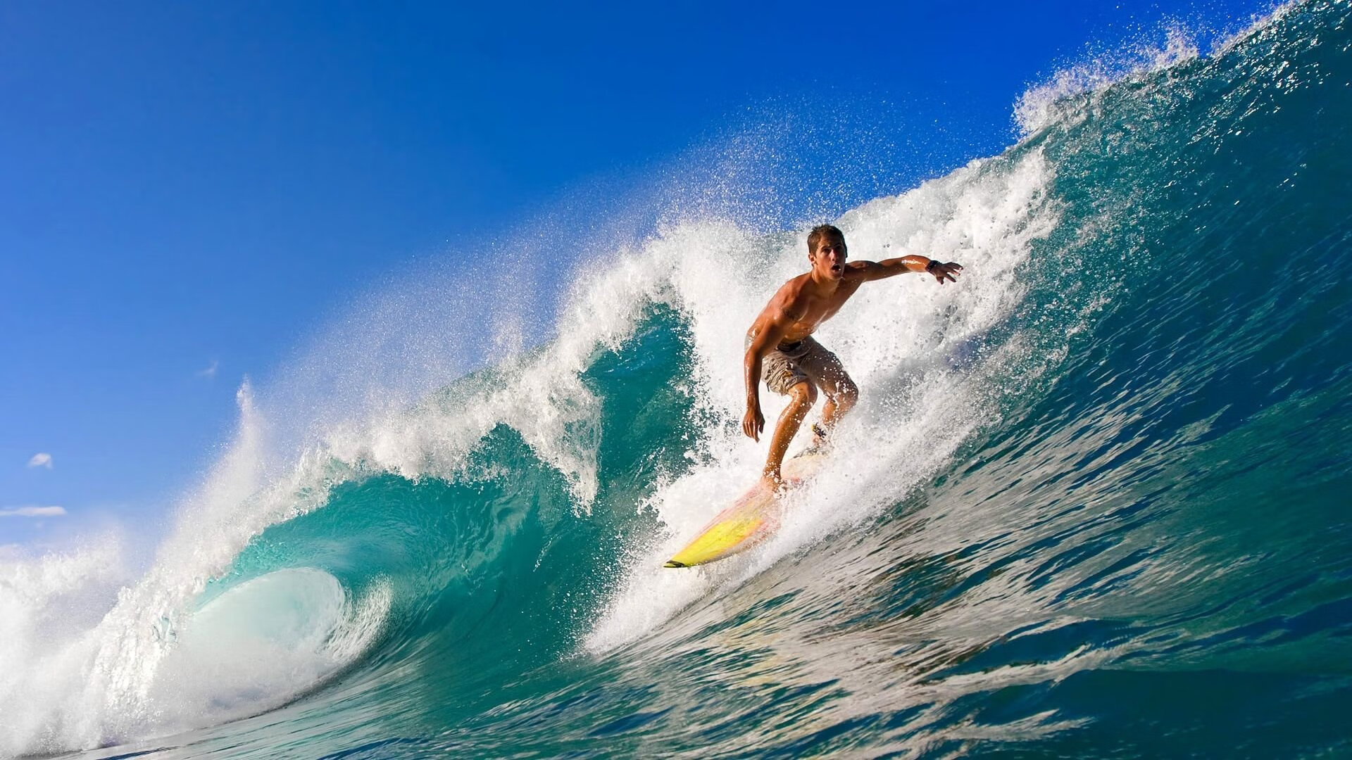 伊利亚·哈伦展现蝶泳技术新高度