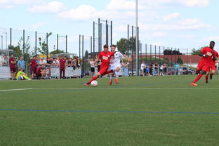 九游娱乐app官网-未来足球运动场将实现环保材料全覆盖，绿色发展理念深入人心，室外足球场的运营方案